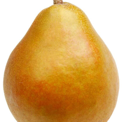 Taylor’s Gold Pear Seeds 