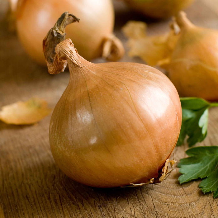 Texas Early Grano onion seeds - Vegetable Plant