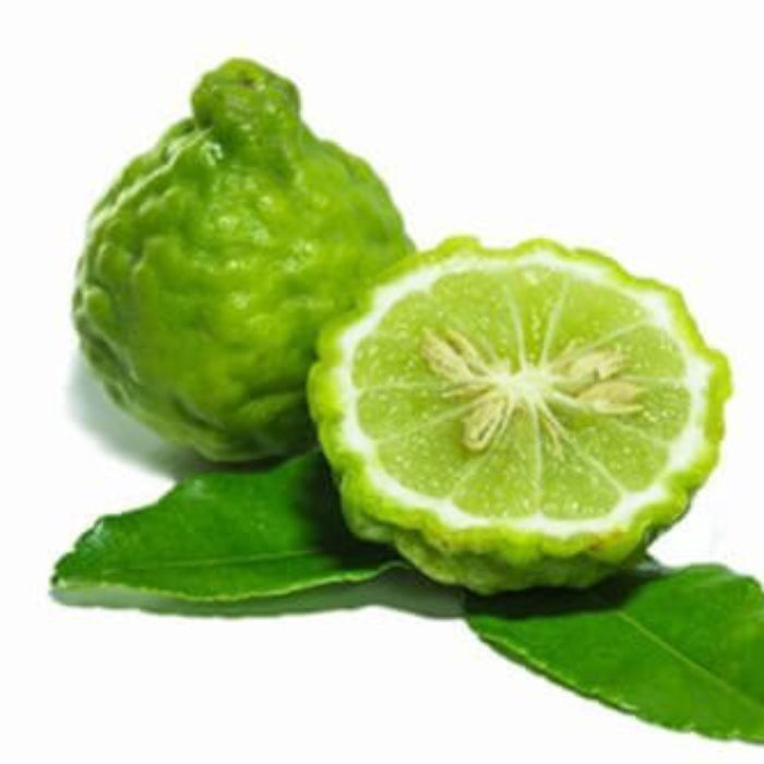 Thailand Kaffir Lime Seeds