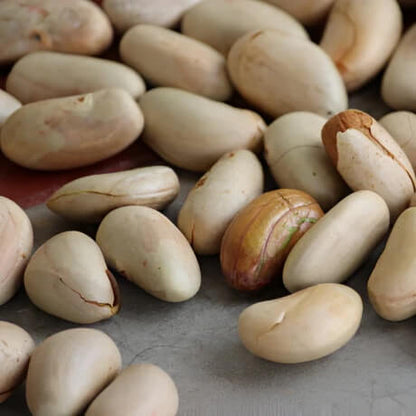 Thailand Pink Jackfruit Seeds