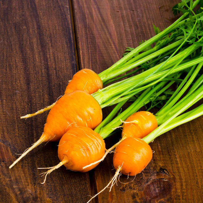 Thumbelina carrot seeds - Vegetable Plant