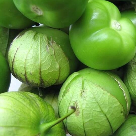 Tomatillo seeds - Vegetable Plant