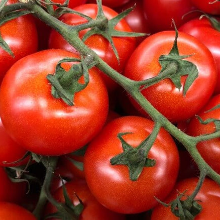 Tomberry Tomato Seeds 