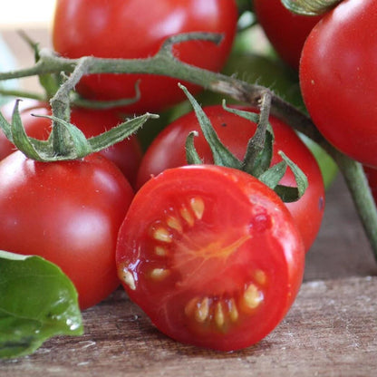 Tomberry Tomato Seeds 