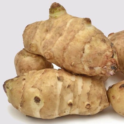 Topinambur Seeds 