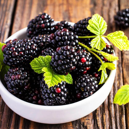 Triple Crown Thornless Blackberry Seeds
