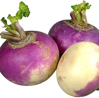 Turnip Green Seeds - Vegetable Plant