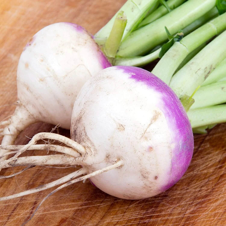 Turnip seeds - Vegetable Plant