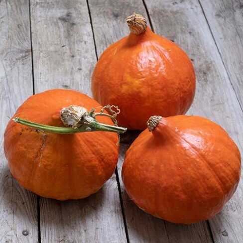 Uchiki Kuri Pumpkin Seeds