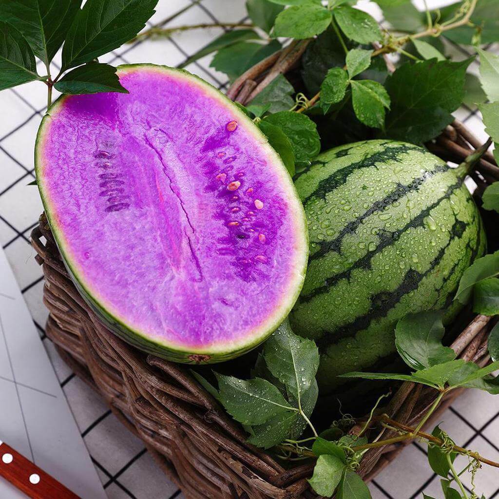 Violet Watermelon Seeds