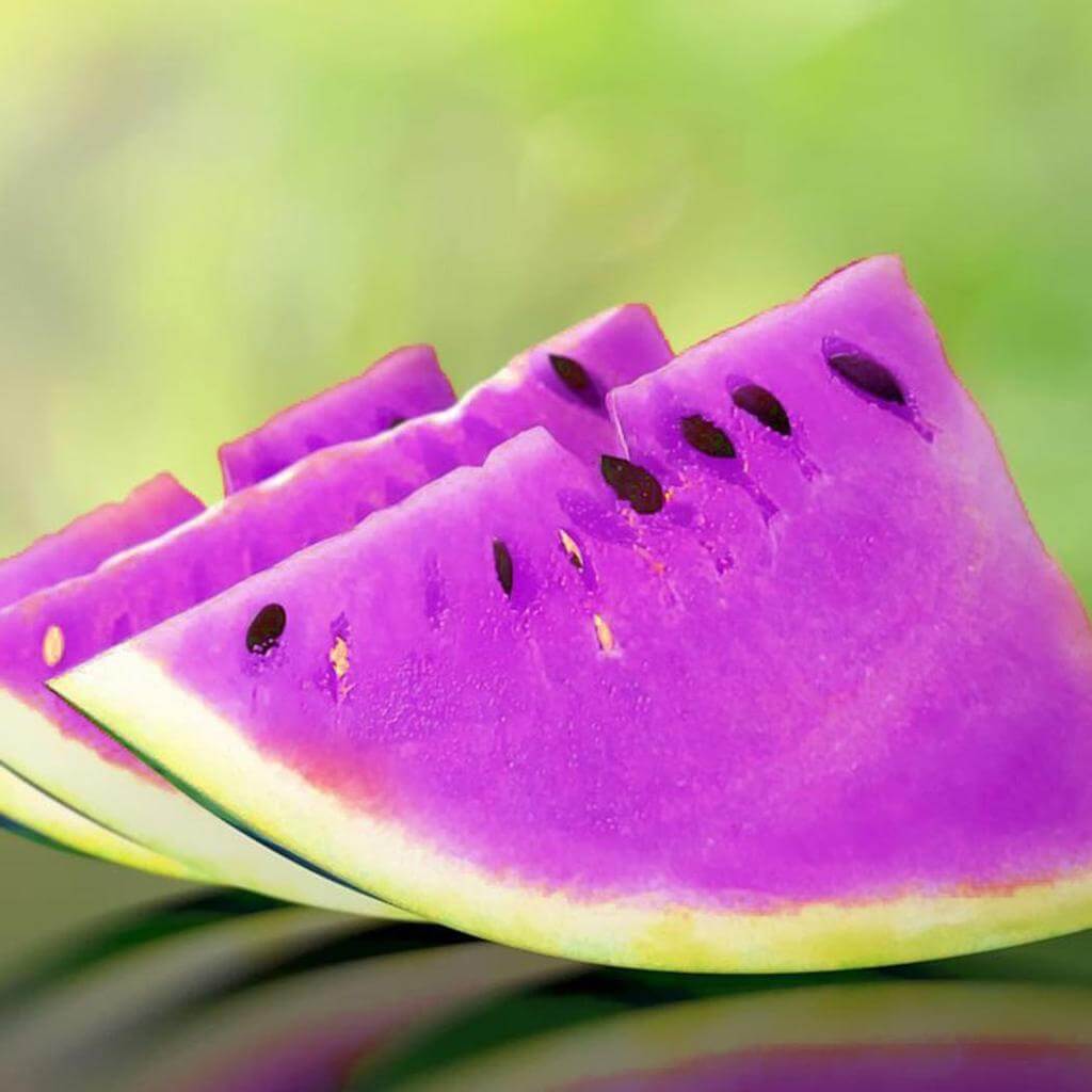 Violet Watermelon Seeds