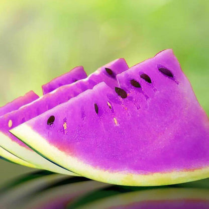 Violet Watermelon Seeds