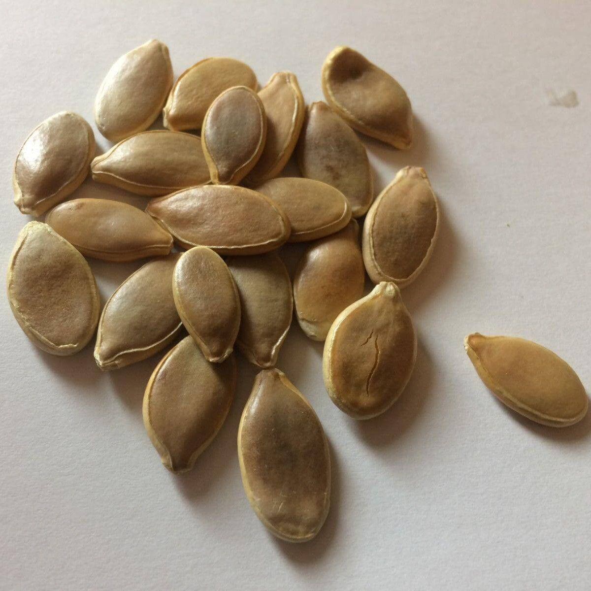 Wallace Whoppers Giant Pumpkin Seeds 
