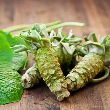 Wasabi Seeds - Vegetable Plant for Home Gardens