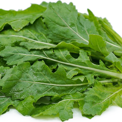 Wasabi arugula seeds - Vegetable Plant