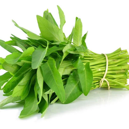 Water Spinach Seeds - Vegetable Plant
