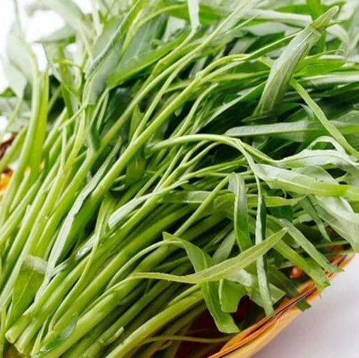 Water Spinach Seeds - Vegetable Plant