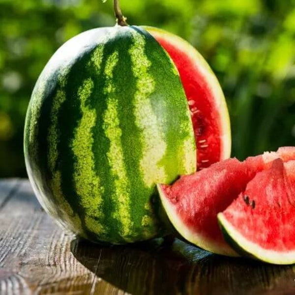 Watermelon Seeds - Fruit Plant