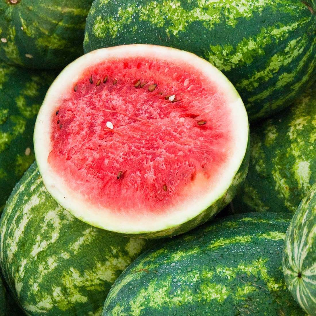 Watermelon Seeds