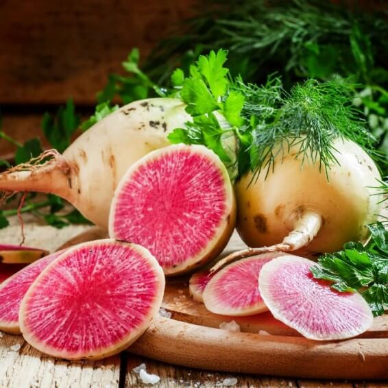 Watermelon radish seeds - Vegetable Plant