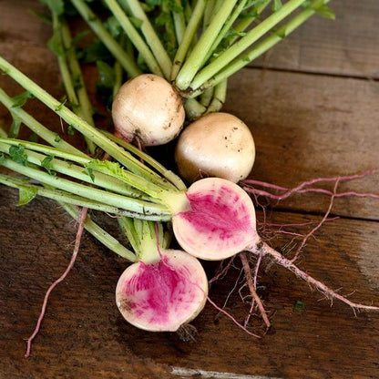 Watermelon radish seeds - Vegetable Plant
