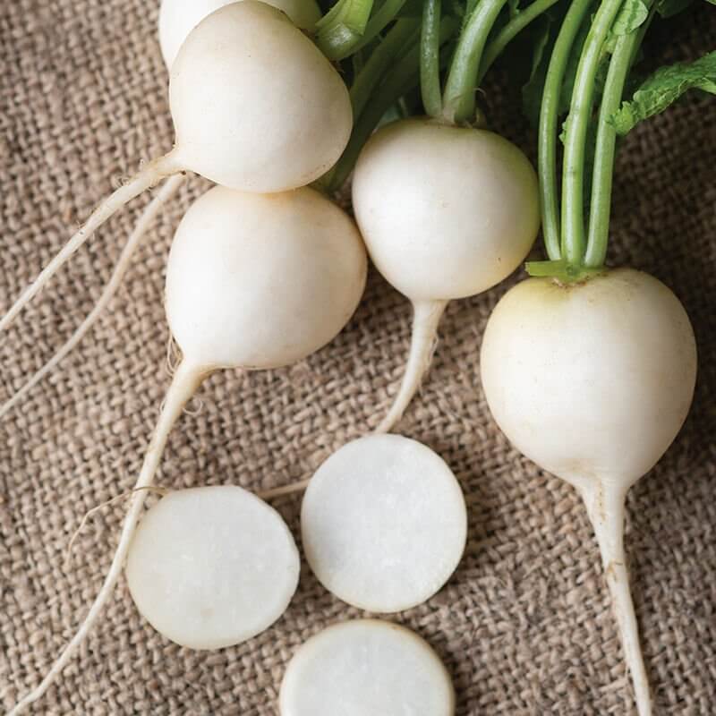White Beauty Radish Seeds