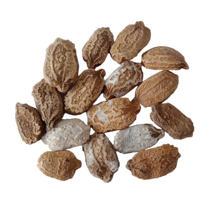 White Bitter Gourd Seeds 