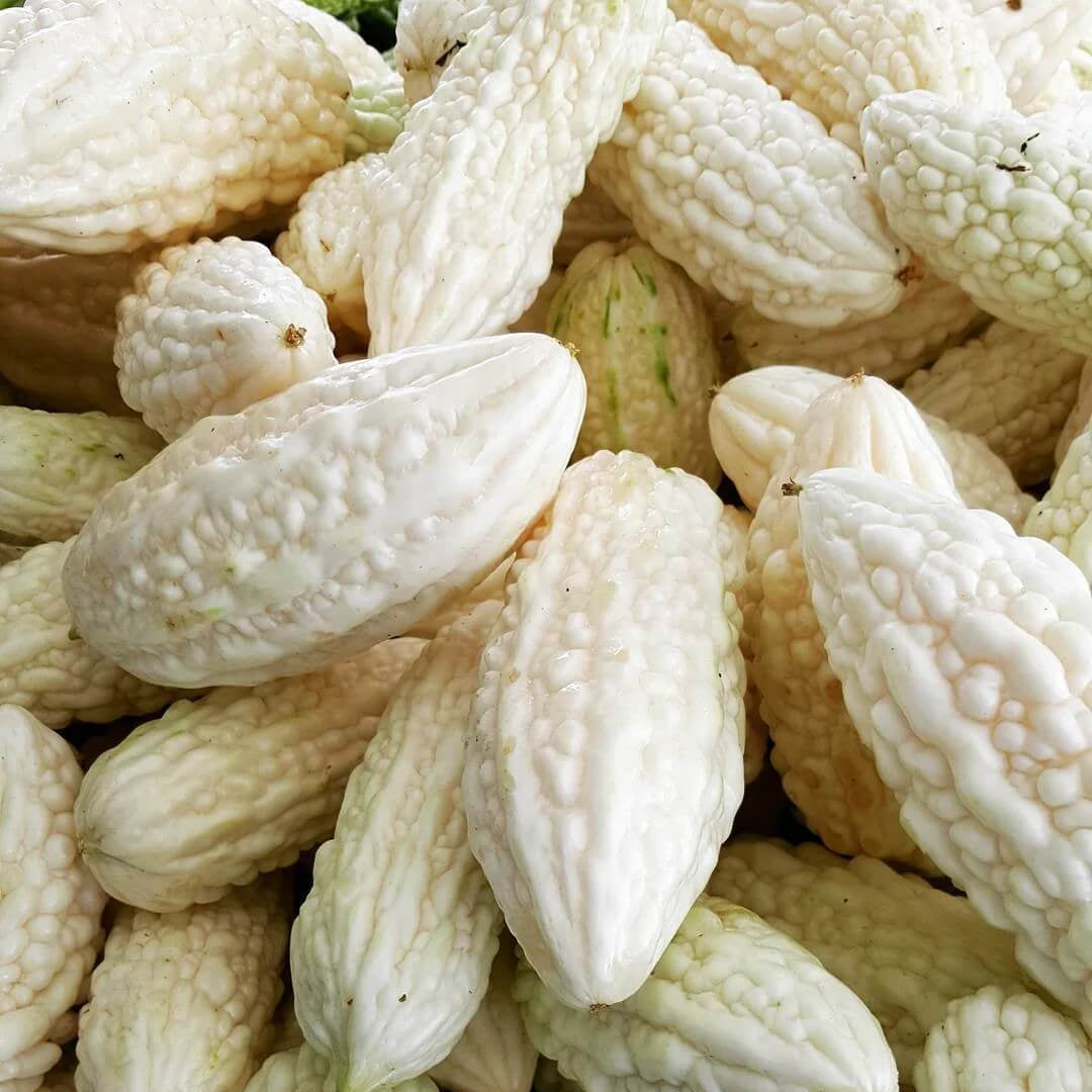 White Bitter Gourd Seeds 