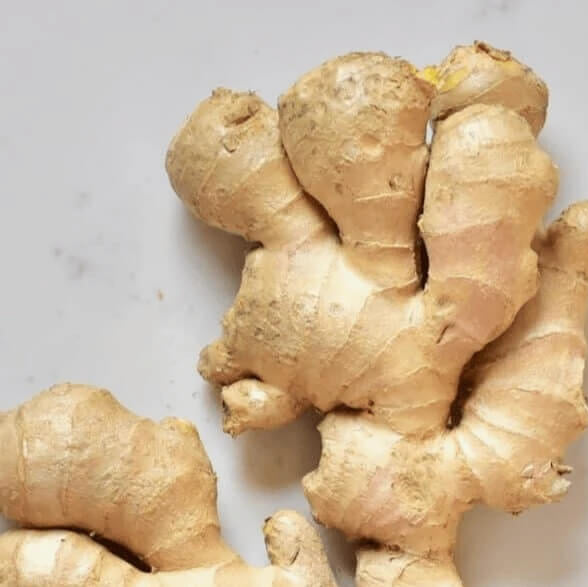 White Brown Ginger Seeds - Herbal Plant