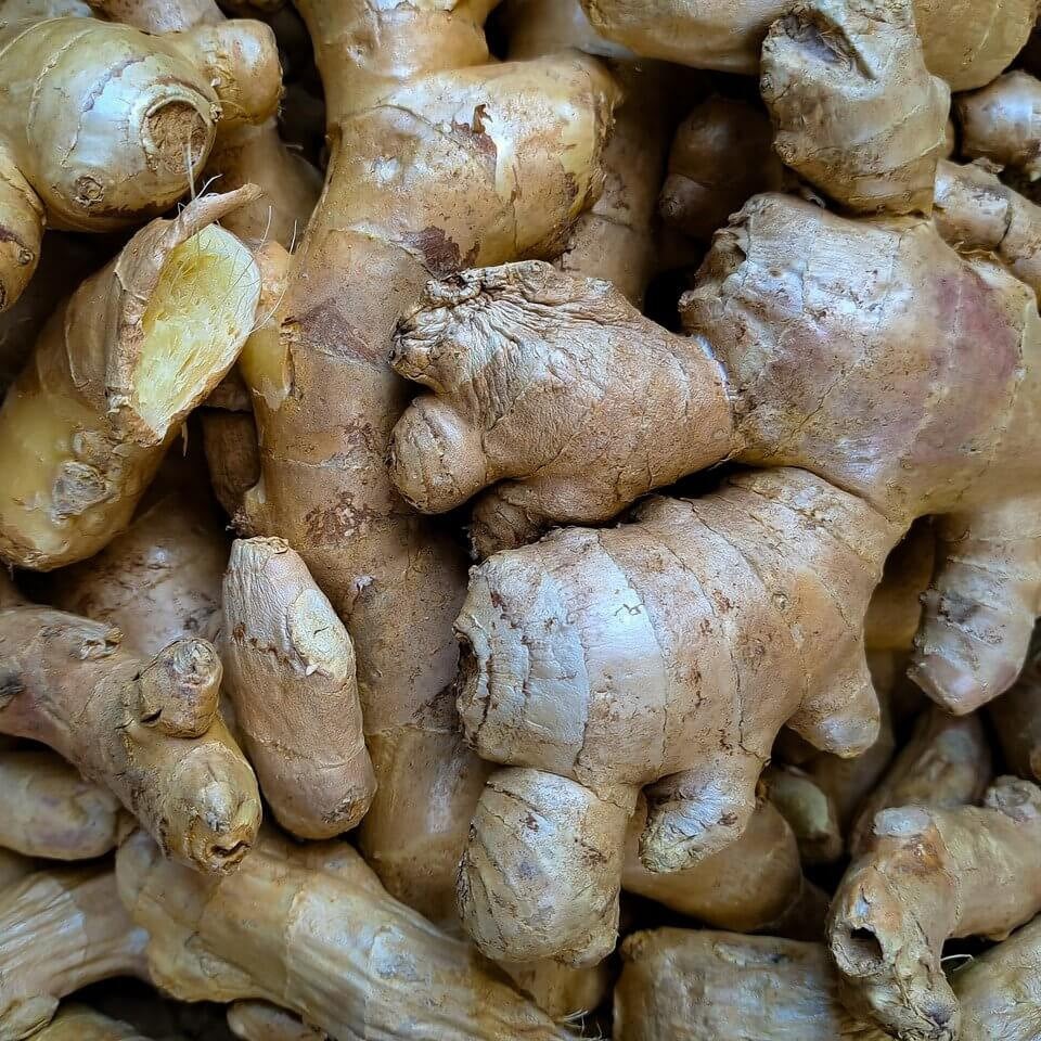 White Brown Ginger Seeds - Herbal Plant