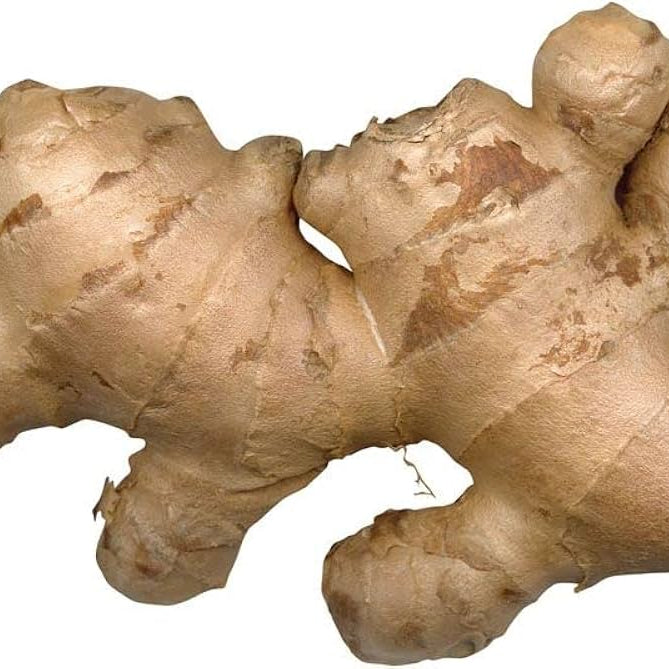 White Brown Ginger Seeds - Herbal Plant