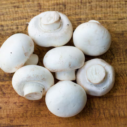 White Button Mushroom Seeds
