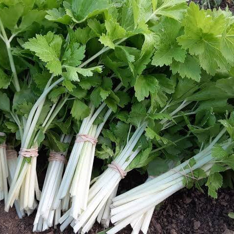 White Celery Seeds