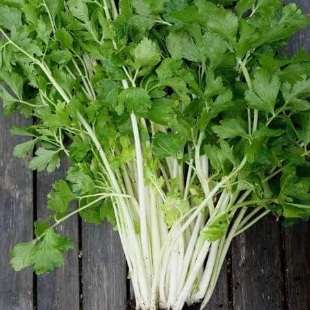 White Celery Seeds
