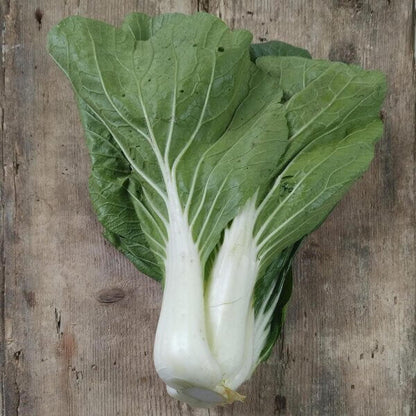 White Choi Bok Choy Seeds