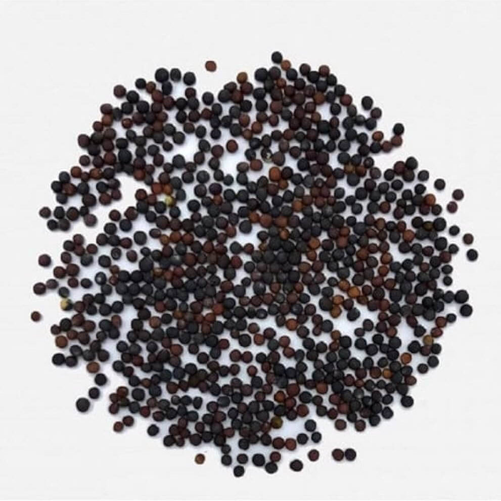 White Choi Bok Choy Seeds