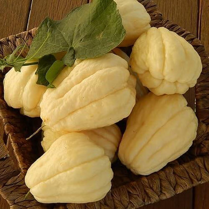 White & Cream Chayote Seeds