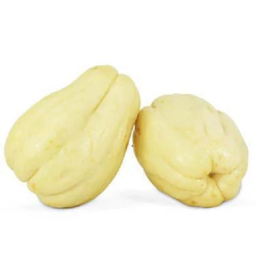 White & Cream Chayote Seeds