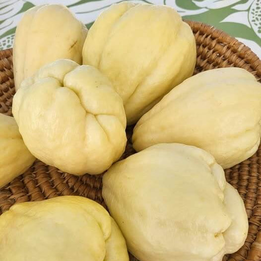 White & Cream Chayote Seeds