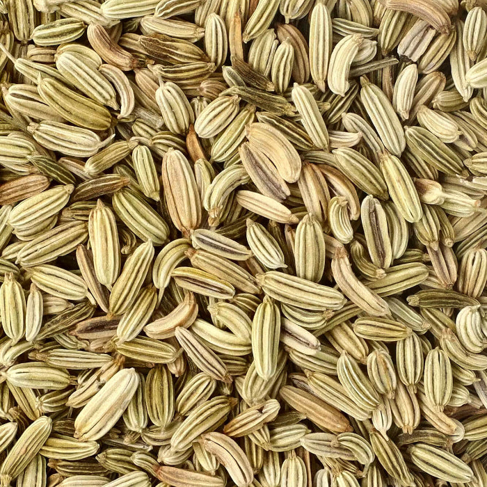 White Fennel Seeds 