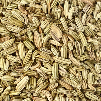 White Fennel Seeds 