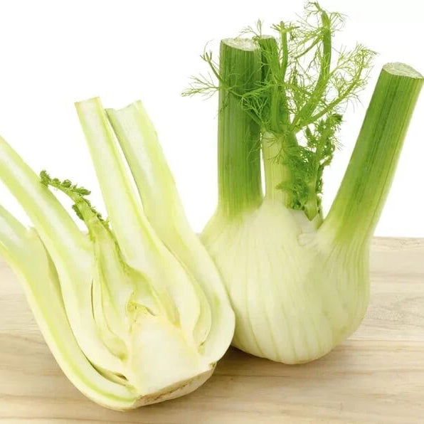 White Fennel Seeds 