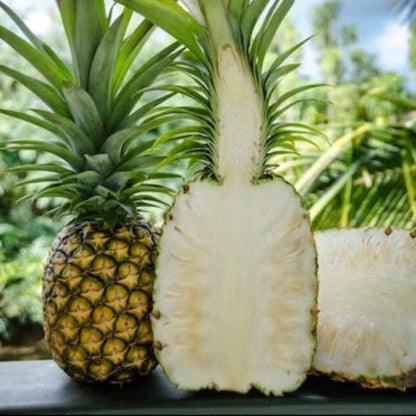 White Flesh Pineapple Seeds