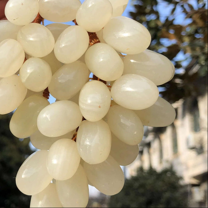 White Grape Seeds