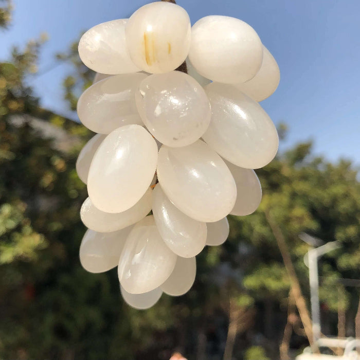 White Grape Seeds