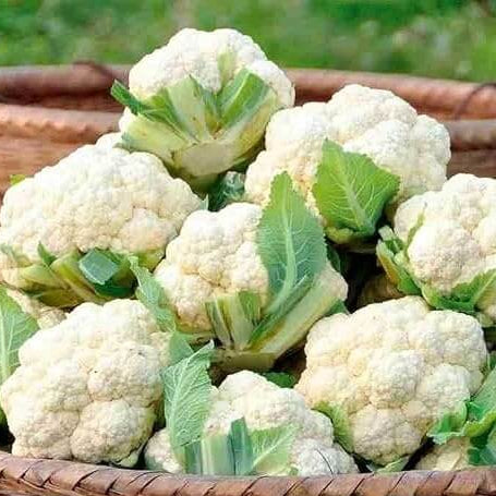 White Heading Cauliflower Seeds 