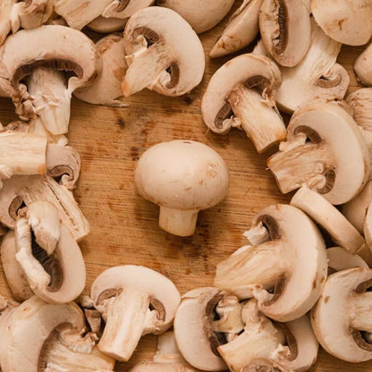 White Mushroom Seeds