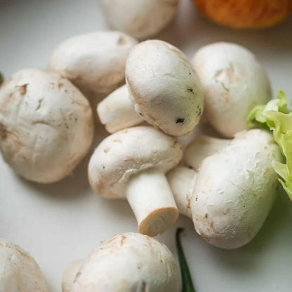 White Mushroom Seeds
