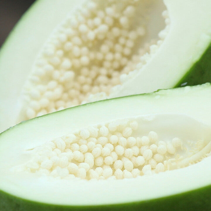 White Papaya Seeds