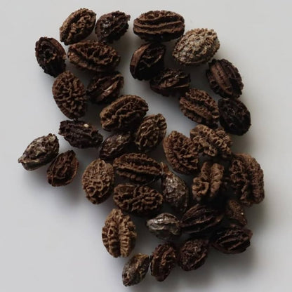 White Papaya Seeds